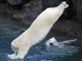 Markets Are Down